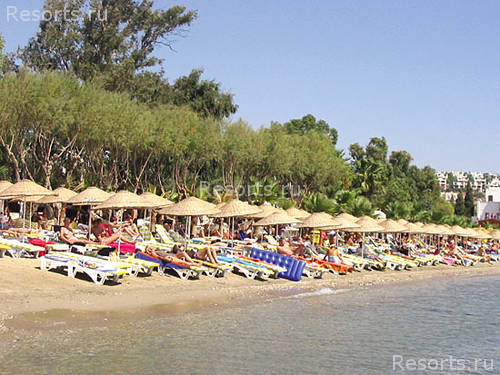 Okaliptus Hotel 12